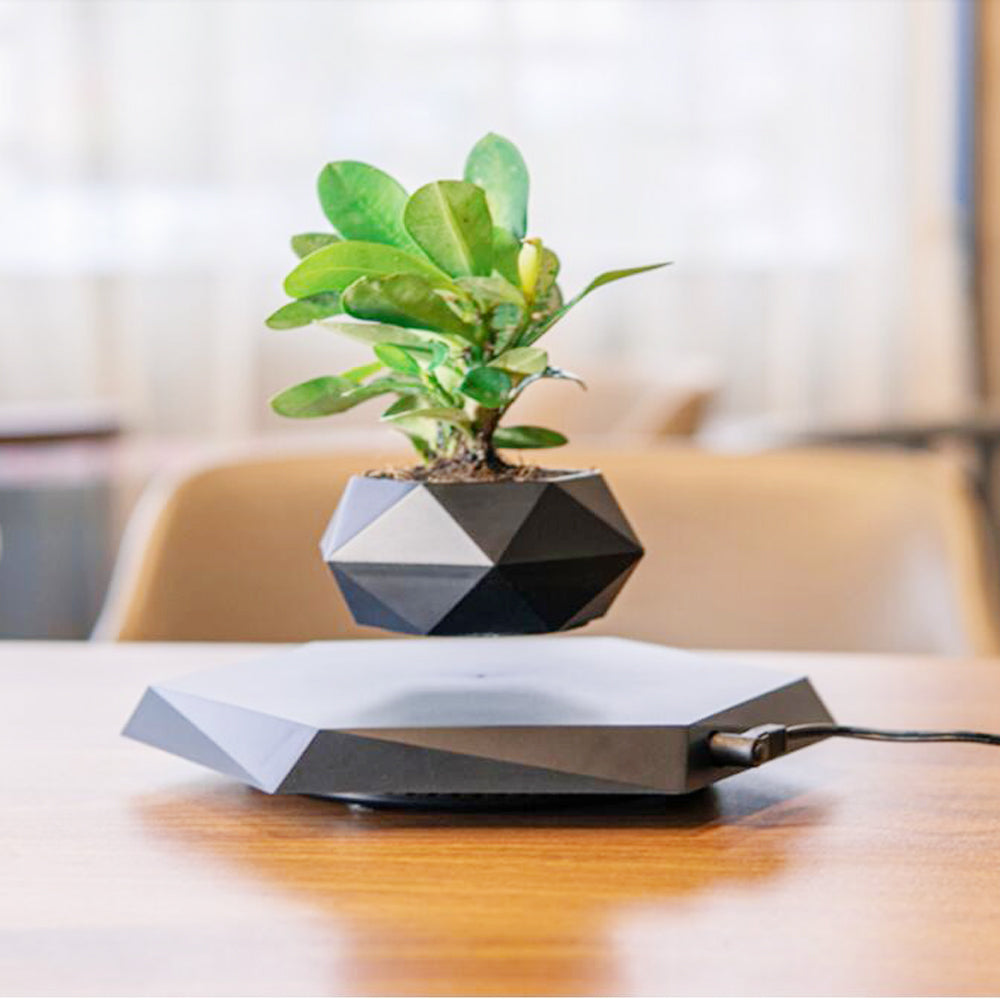 Floating Magnetic Levitating Flower Pot - Commercial Universe Boutique