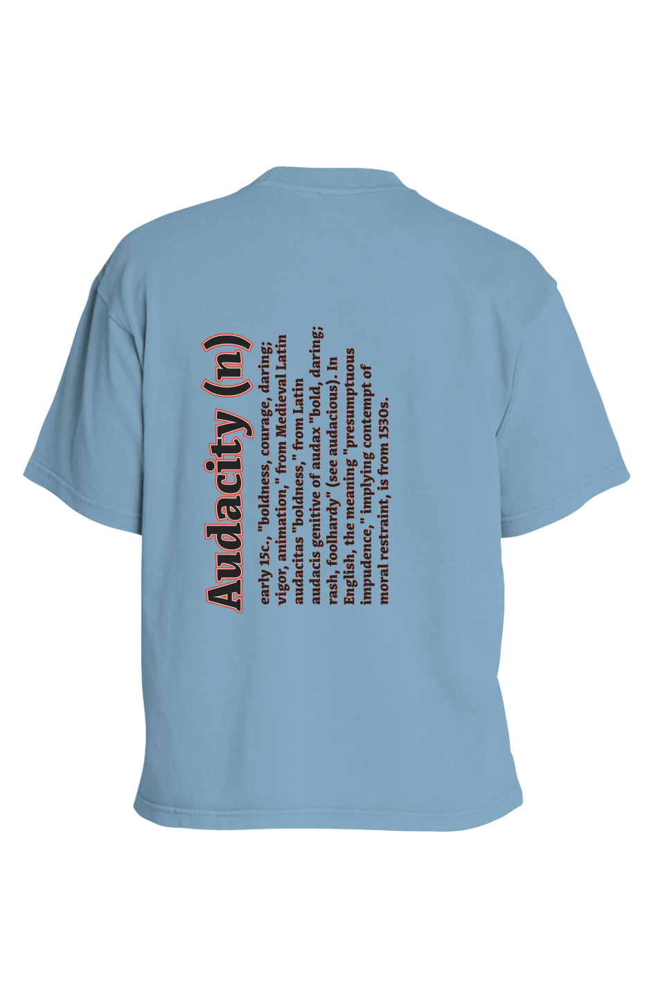 iFly Heavyweight Pigment T-Shirt