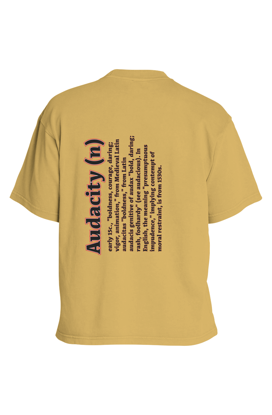 iFly Heavyweight Pigment T-Shirt