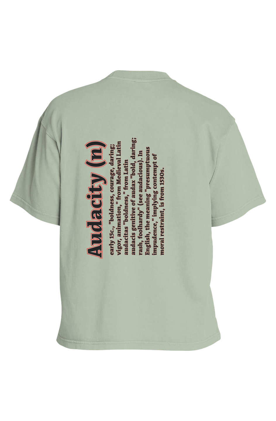 iFly Heavyweight Pigment T-Shirt