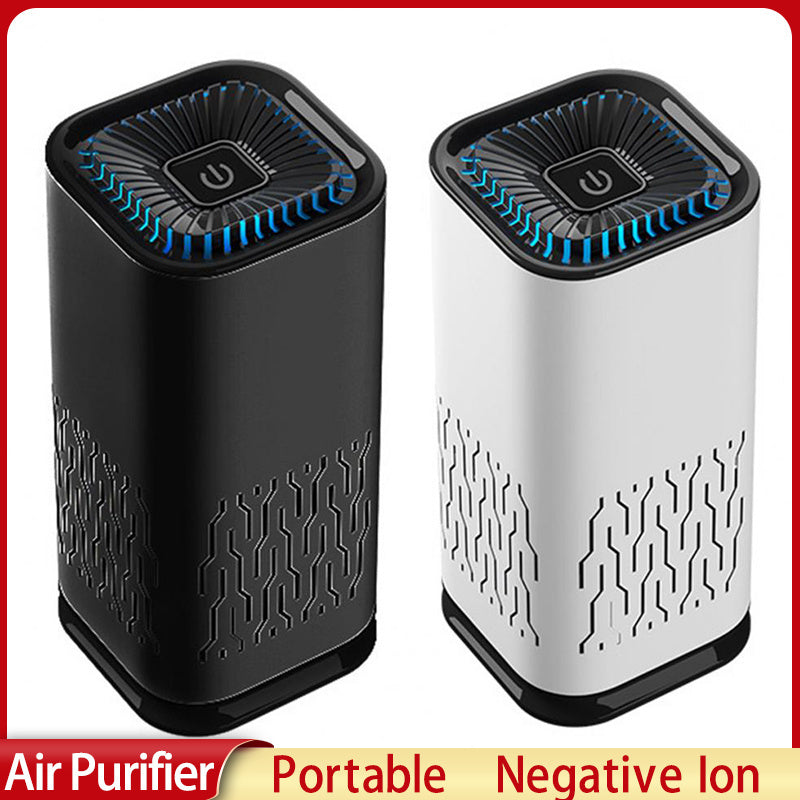 Automobile Negative Ionization Generator & Air Purification System