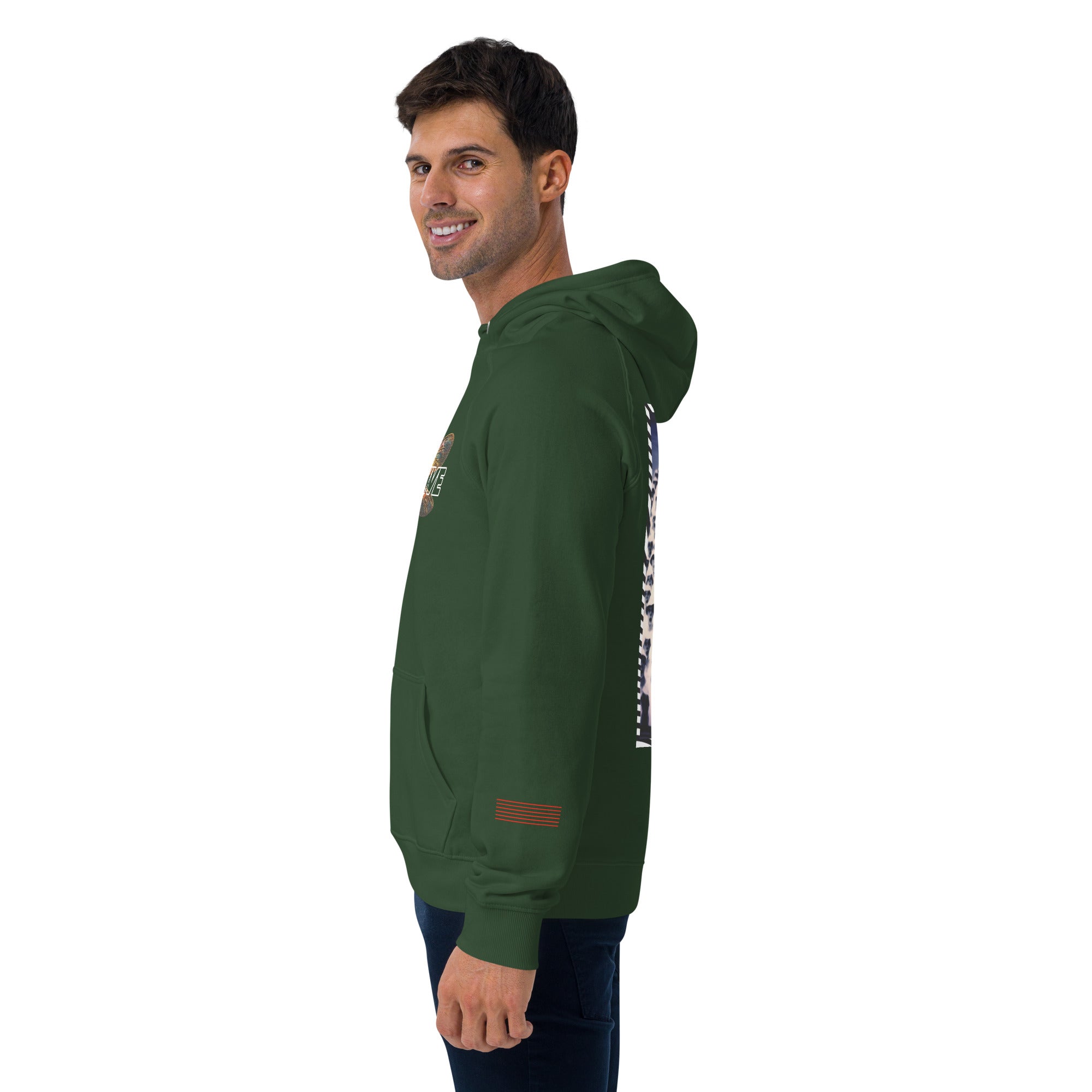 Dragonfly Perspective Unisex eco raglan hoodie