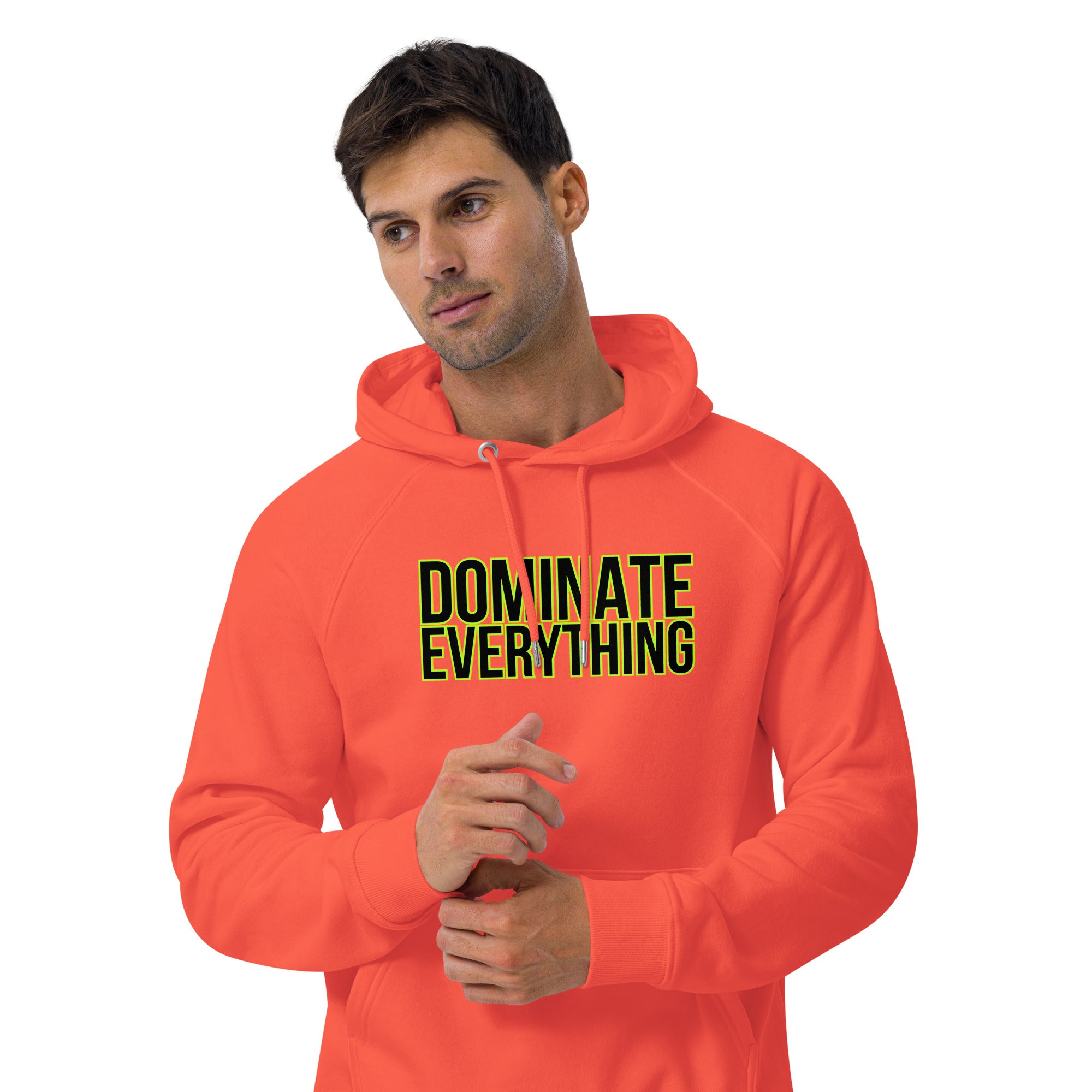 Dominate Everything Unisex eco raglan hoodie