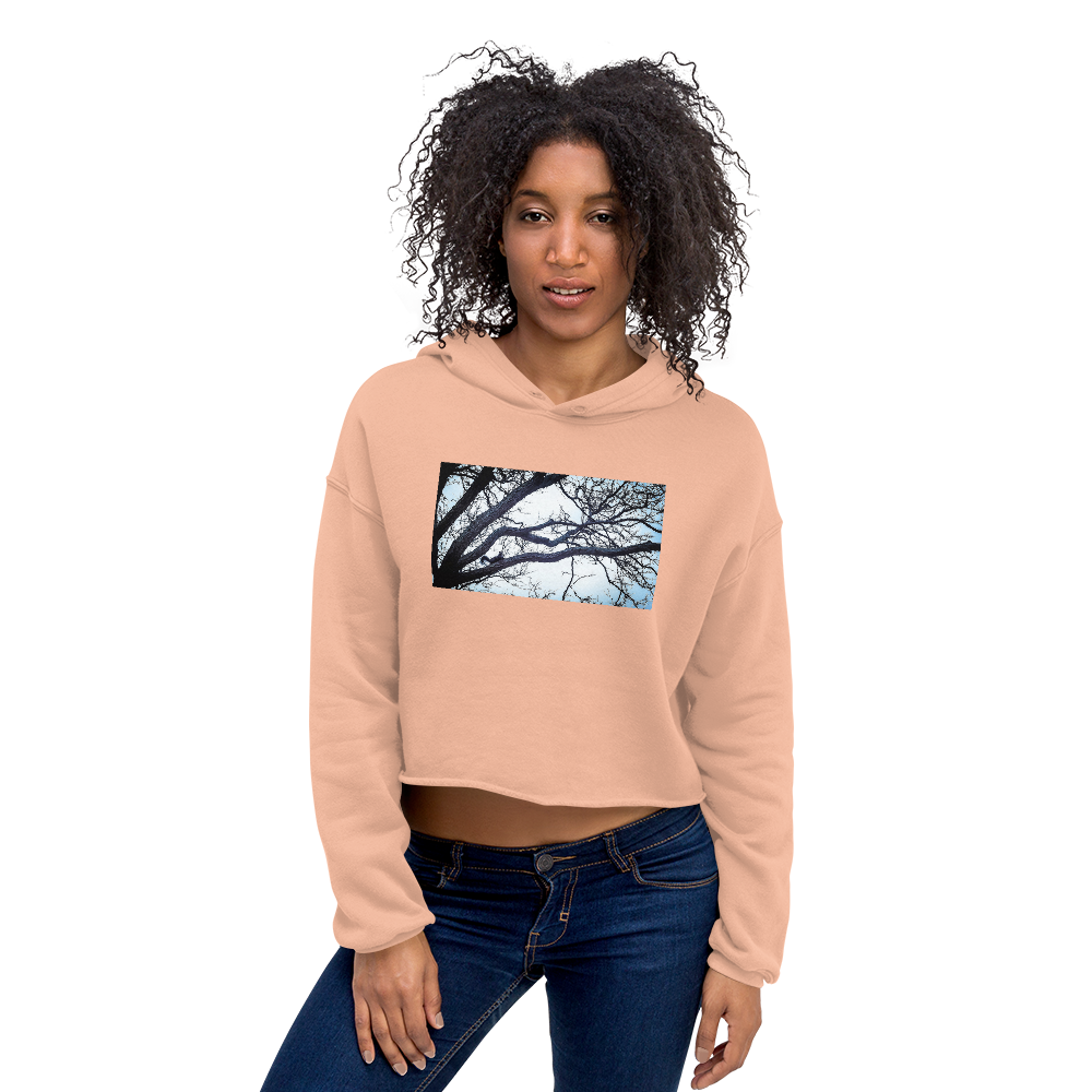 Serious Squirrel Crop Hoodie - Commercial Universe