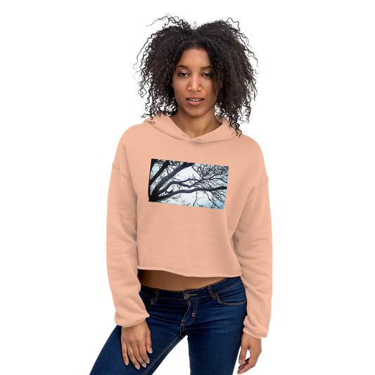 Serious Squirrel Crop Hoodie - Commercial Universe
