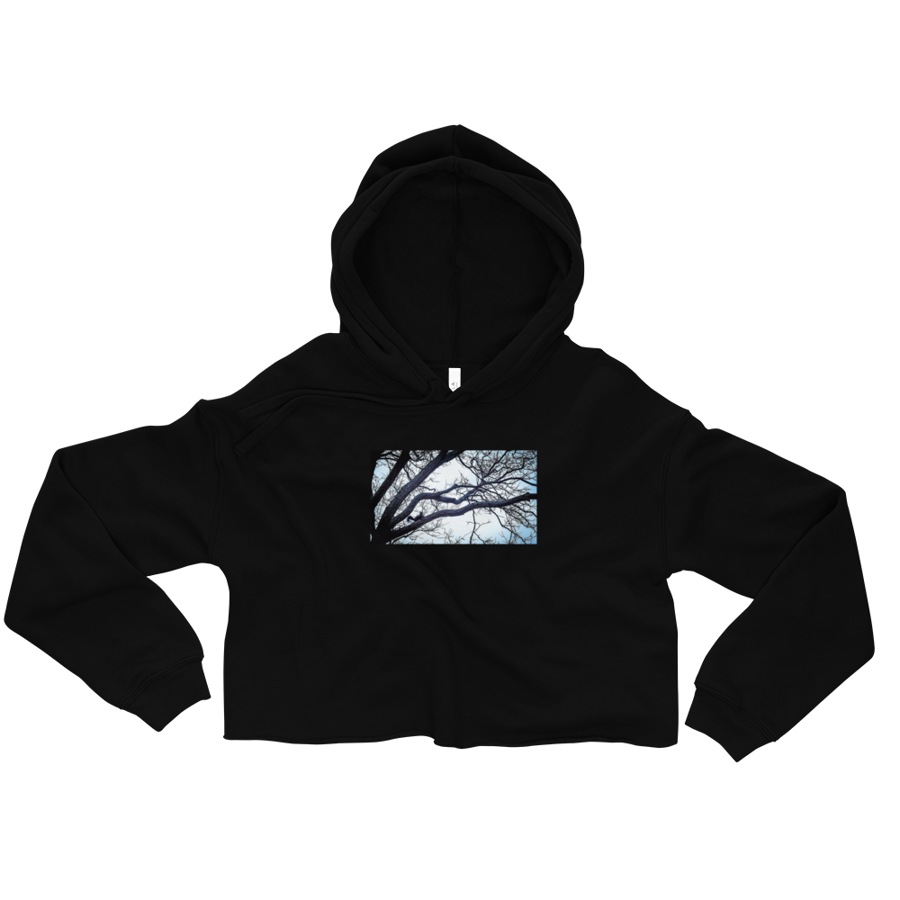 Serious Squirrel Crop Hoodie - Commercial Universe