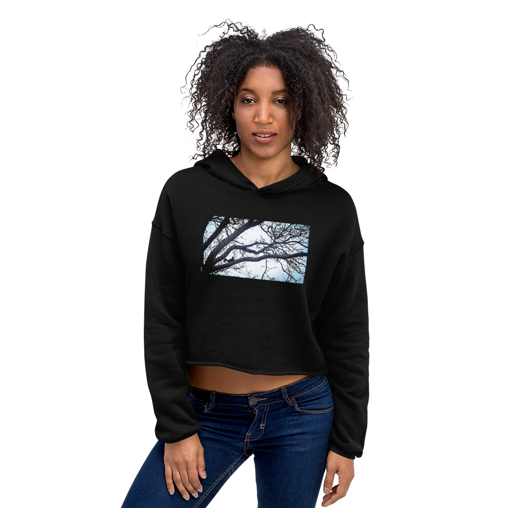 Serious Squirrel Crop Hoodie - Commercial Universe